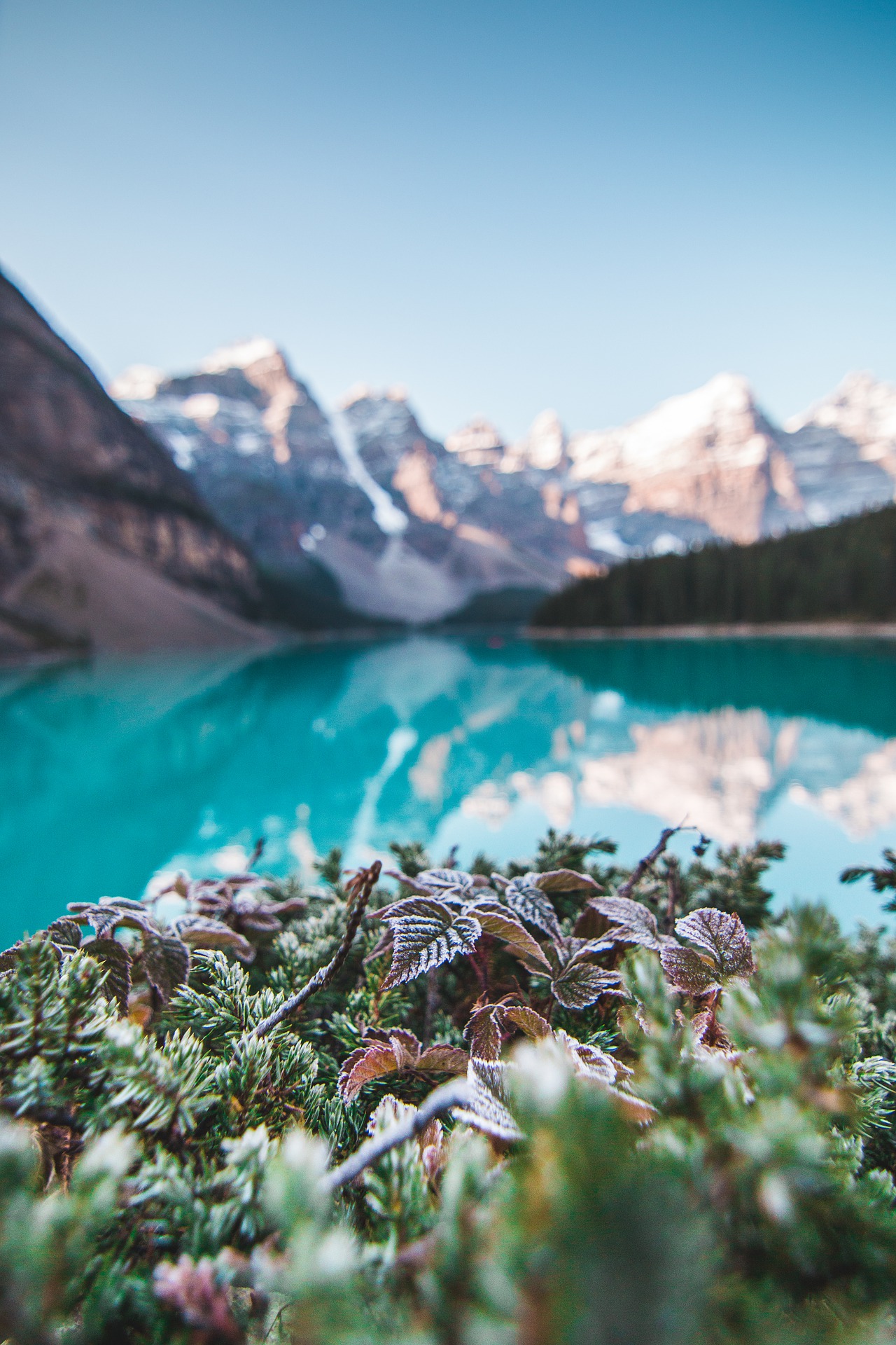 Banff Lake Louise